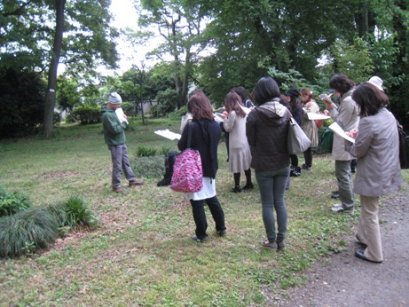 小石川植物園での植物観察